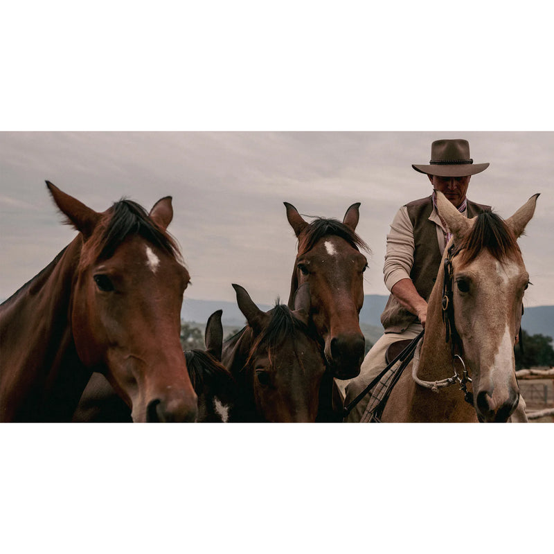 Brumby Hat Brumby Hat