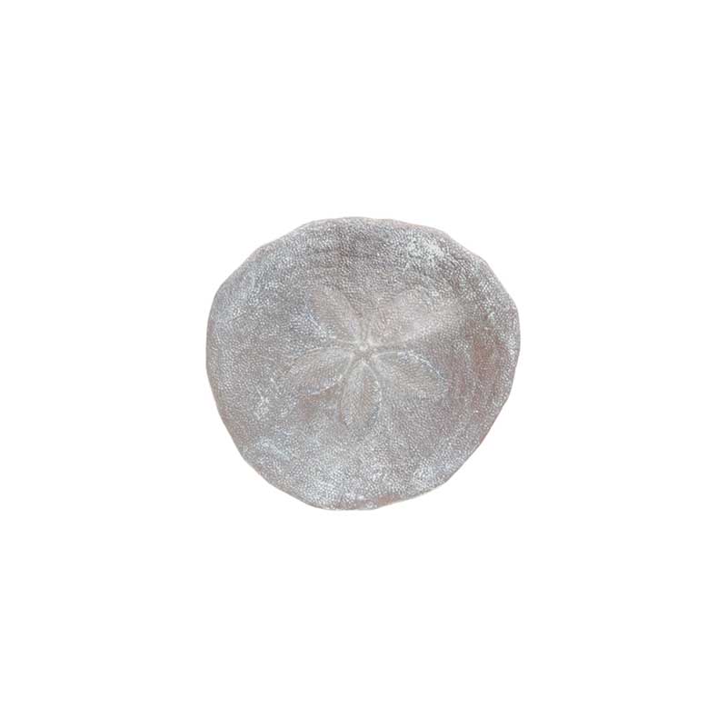Sand Dollar Pin Sand Dollar Pin