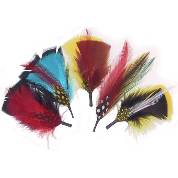 Hat Feathers, packet of 5