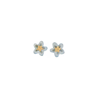 Forget Me Not Earrings, Post