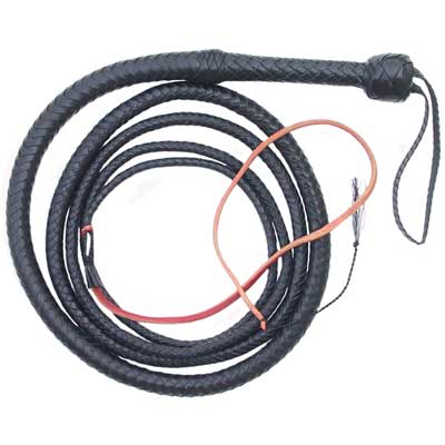 Bull Whip, 10 ft., Black