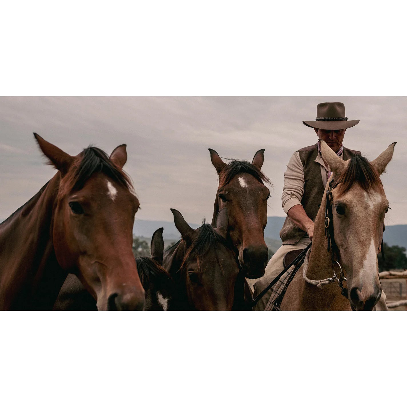 Brumby Hat