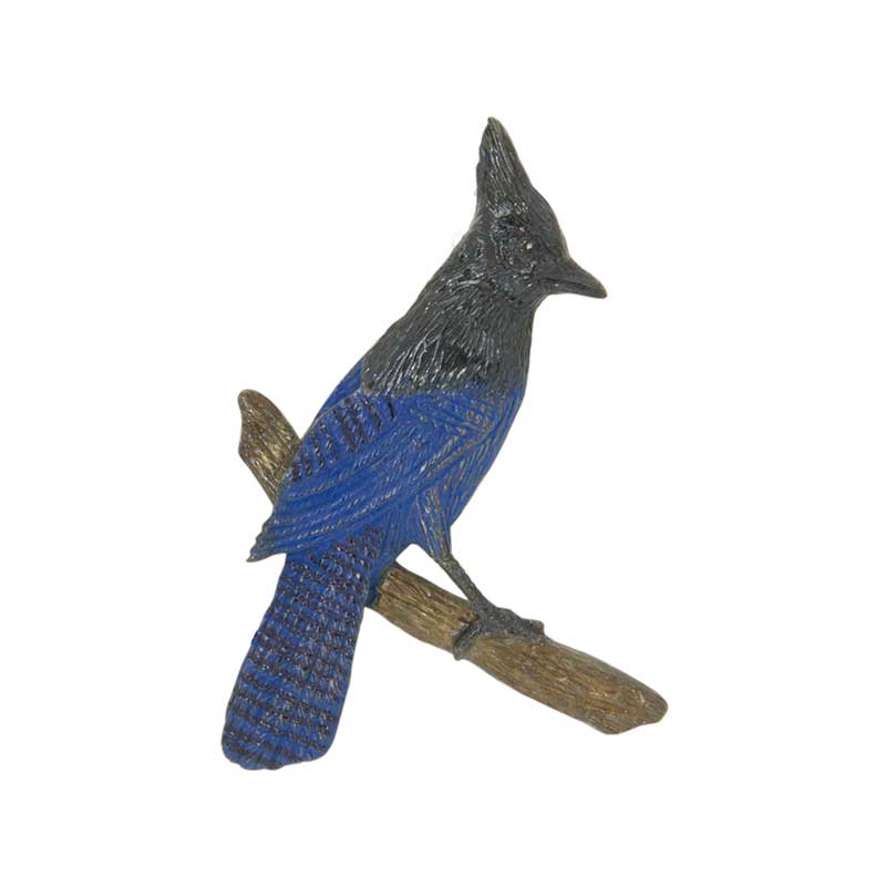 Steller's Jay Pin