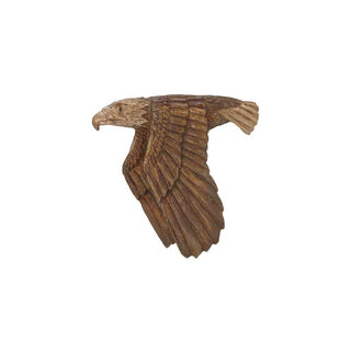 Flying Eagle Pin