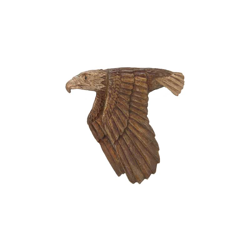 Flying Eagle Pin