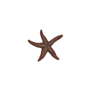 Starfish Pin