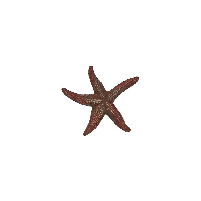 Starfish Pin