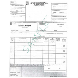 US Fish and Wildlife Inspection Service