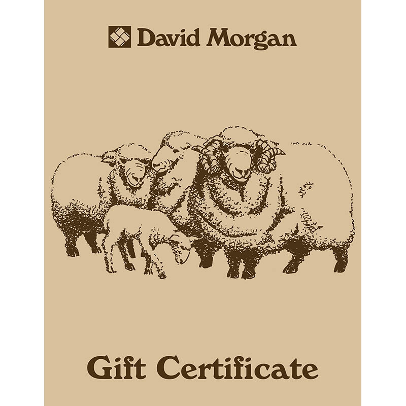 $100 Gift Certificate